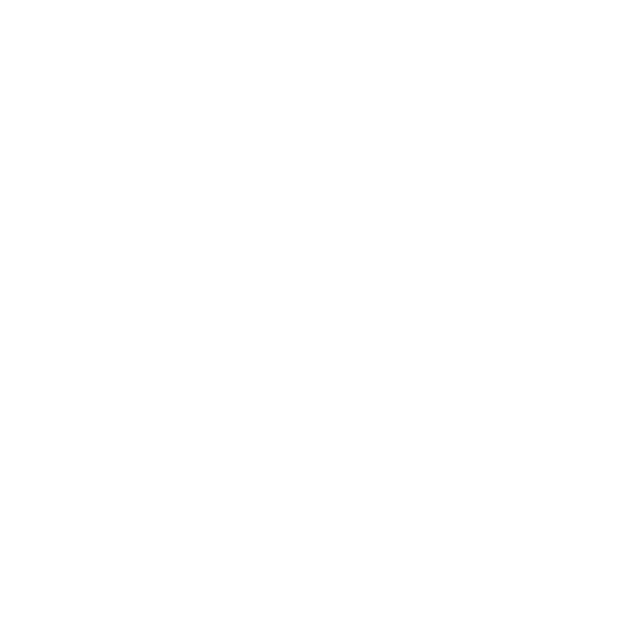 TMT Projects